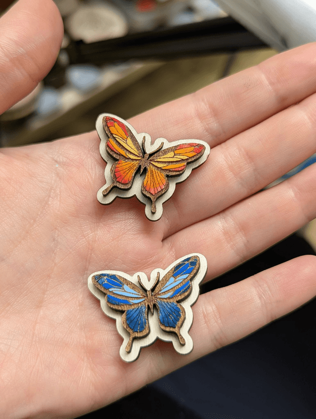Pin's Lot de 2